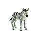 Schleich WILD LIFE Zebra Jong 14811