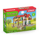Schleich Farm World Boerderij met stal en dieren