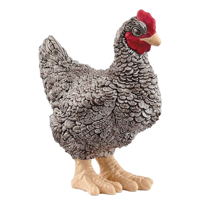 Load image into Gallery viewer, Schleich farm world plymouth rock kip 13997
