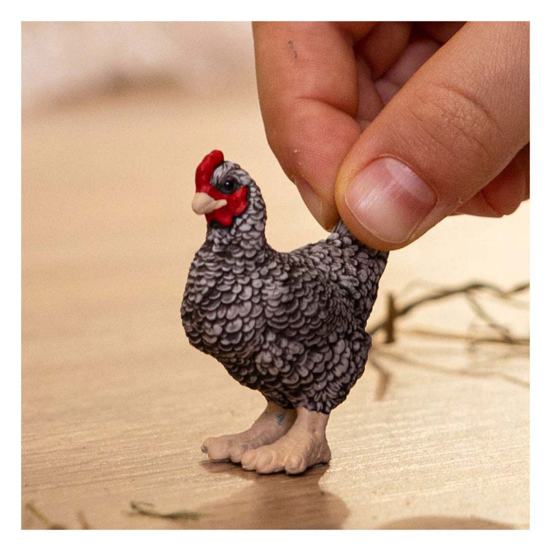 Load image into Gallery viewer, Schleich farm world plymouth rock kip 13997
