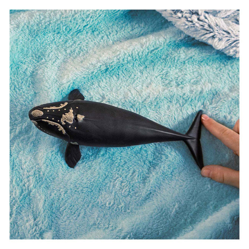 Load image into Gallery viewer, Schleich wild life noordkaper 14878
