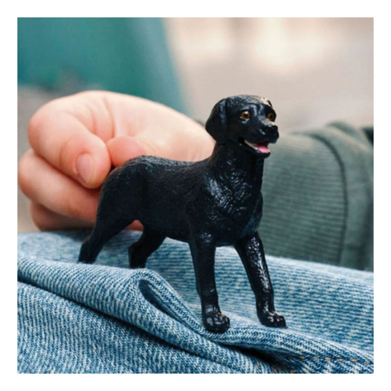 Load image into Gallery viewer, Schleich farm world zwarte labrador retriever 14923
