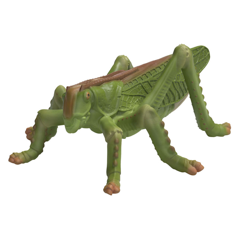 Load image into Gallery viewer, Schleich wild life ontdekkingsset insecten 42741
