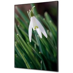 Textielen wanddecoratie showdown tfr22wa2-set-i24 400 x 400 white flower