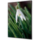 Textielen wanddecoratie showdown tfr22wa2-set-i24 400 x 400 white flower