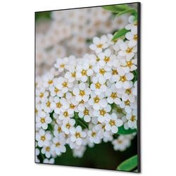 Textielen wanddecoratie showdown tfr22wa2-set-i3 400 x 400 white flower