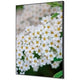 Textielen wanddecoratie showdown tfr22wa2-set-i3 400 x 400 white flower