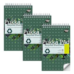 Pk3 pukka gerecycled stenoblok in het