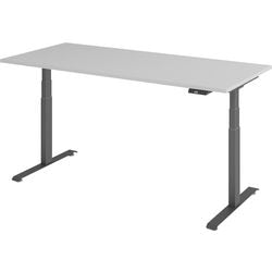 Bach zit-sta-bureau hammerer vlxk6516 5 g lichtgrijs hout, metaal