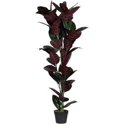Kunstplant meet powered by paperflow ficus elastica 120 cm