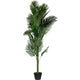 Kunstplant meet powered by paperflow palm 160 cm