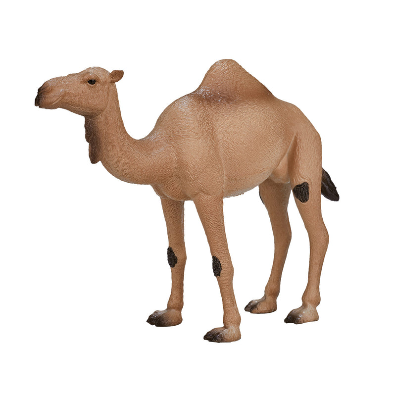 Load image into Gallery viewer, Mojo wildlife arabische kameel - 387113
