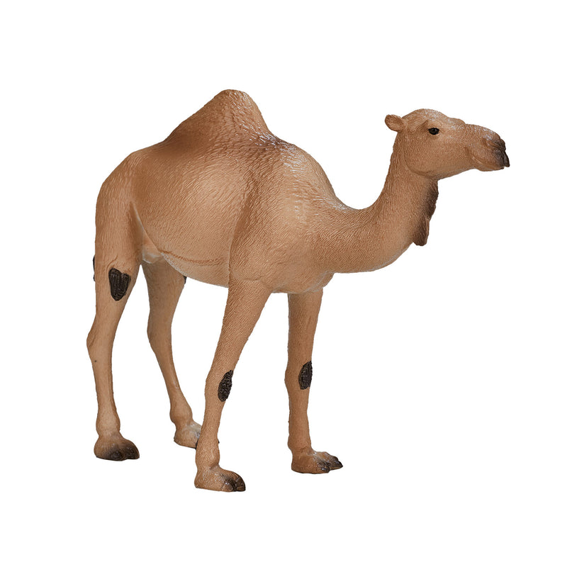 Load image into Gallery viewer, Mojo wildlife arabische kameel - 387113

