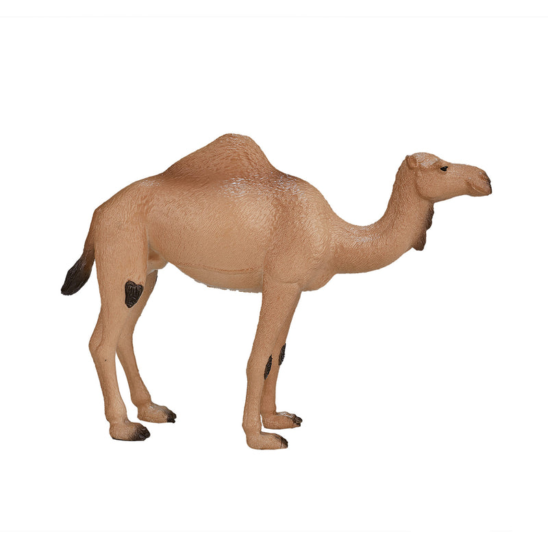 Load image into Gallery viewer, Mojo wildlife arabische kameel - 387113

