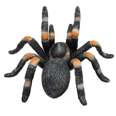 Mojo wildlife rode tarantula - 387213