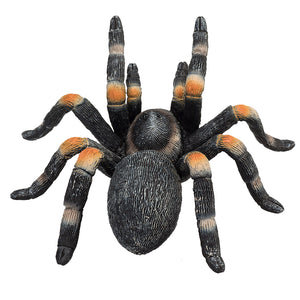 Mojo wildlife rode tarantula - 387213