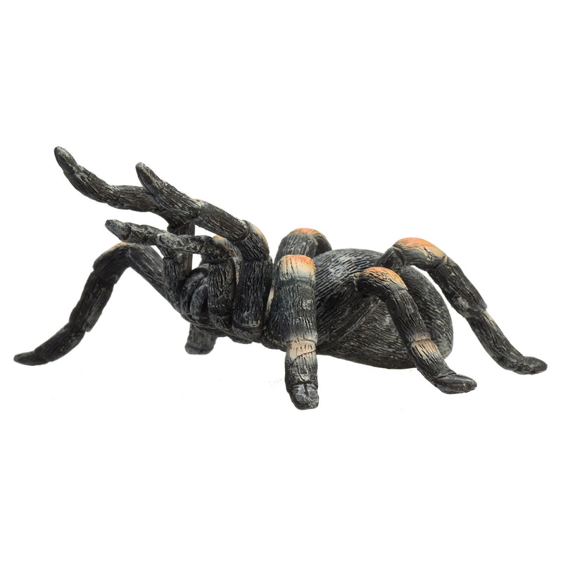 Load image into Gallery viewer, Mojo wildlife rode tarantula - 387213
