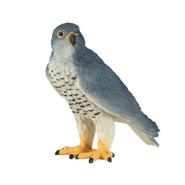 Mojo wildlife slechtvalk - 381056