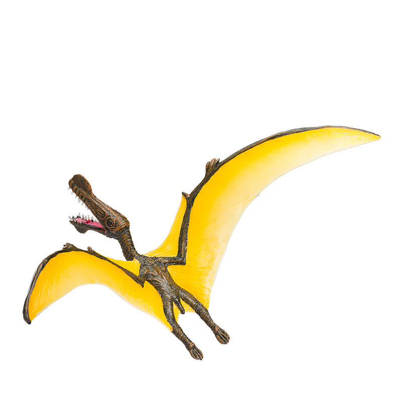 Load image into Gallery viewer, Mojo prehistorie tropeognathus - 387375
