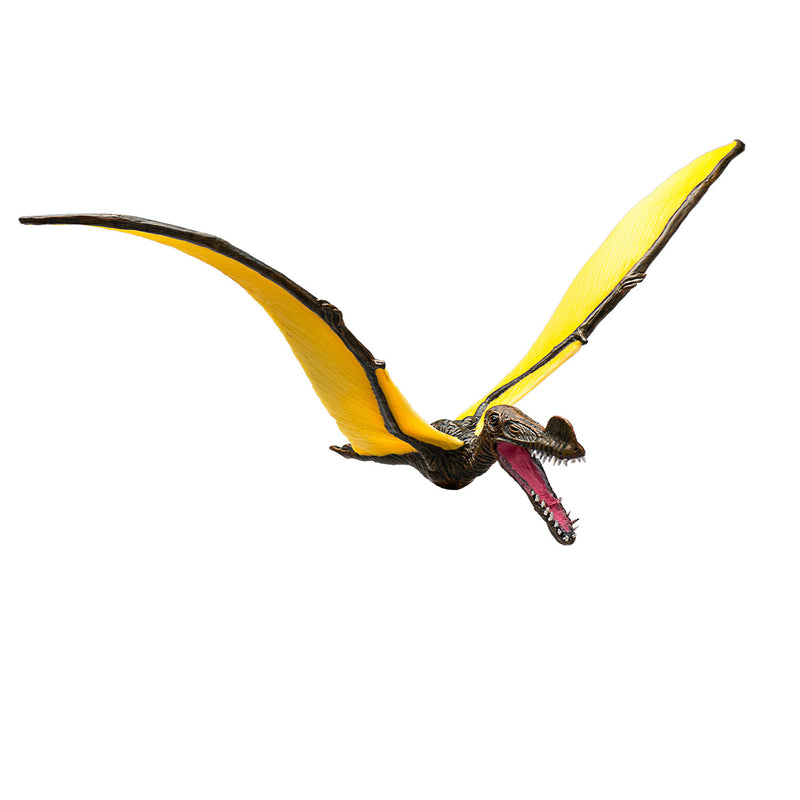 Load image into Gallery viewer, Mojo prehistorie tropeognathus - 387375
