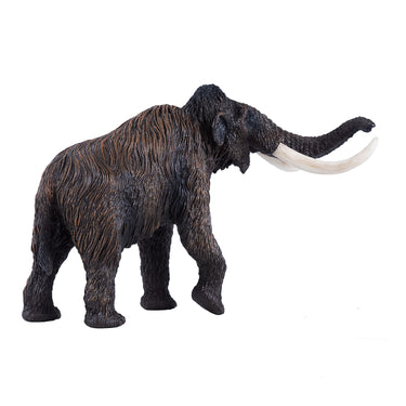 Mojo prehistorie wolharige mammoet - 381049