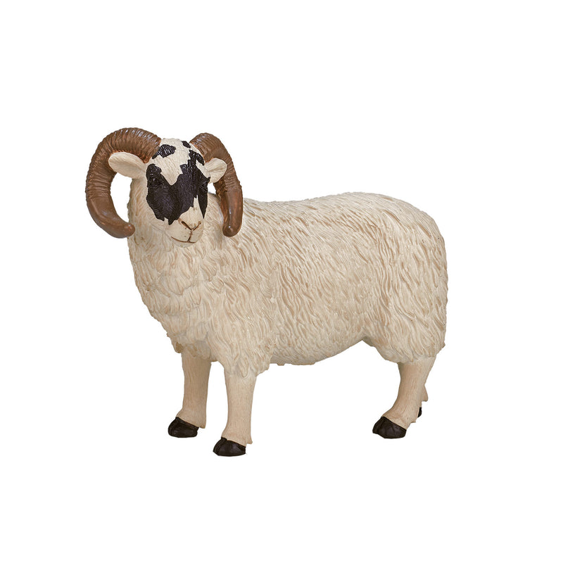 Load image into Gallery viewer, Mojo farmland zwartkopschaap ram - 387081
