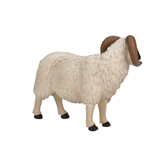 Mojo farmland zwartkopschaap ram - 387081