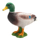 Mojo farmland wilde eend - 387127