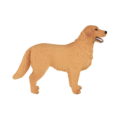 Mojo farmland golden retriever - 387198