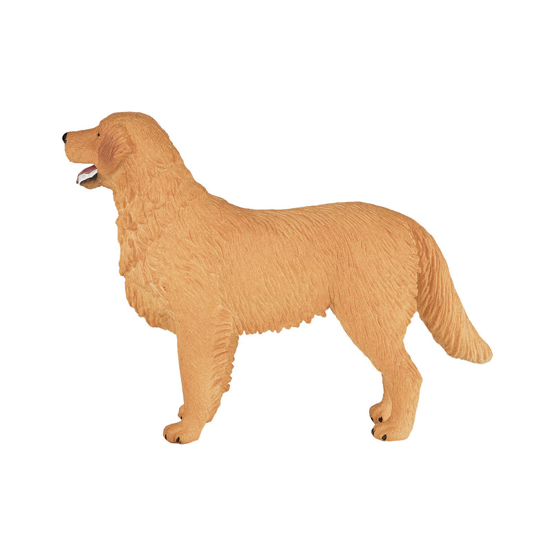 Load image into Gallery viewer, Mojo farmland golden retriever - 387198
