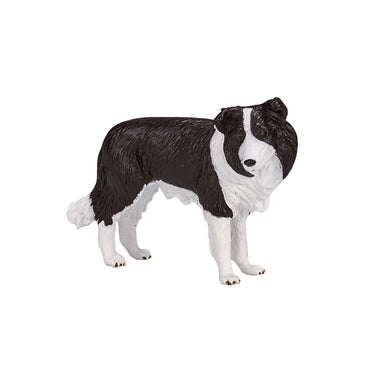 Mojo farmland border collie - 387203