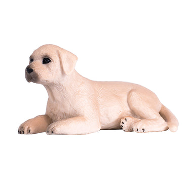 Mojo farmland labrador puppy - 387272