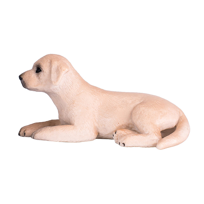 Load image into Gallery viewer, Mojo farmland labrador puppy - 387272
