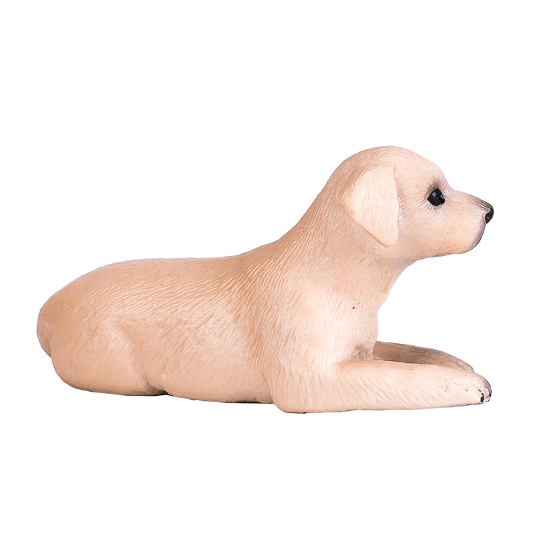 Load image into Gallery viewer, Mojo farmland labrador puppy - 387272
