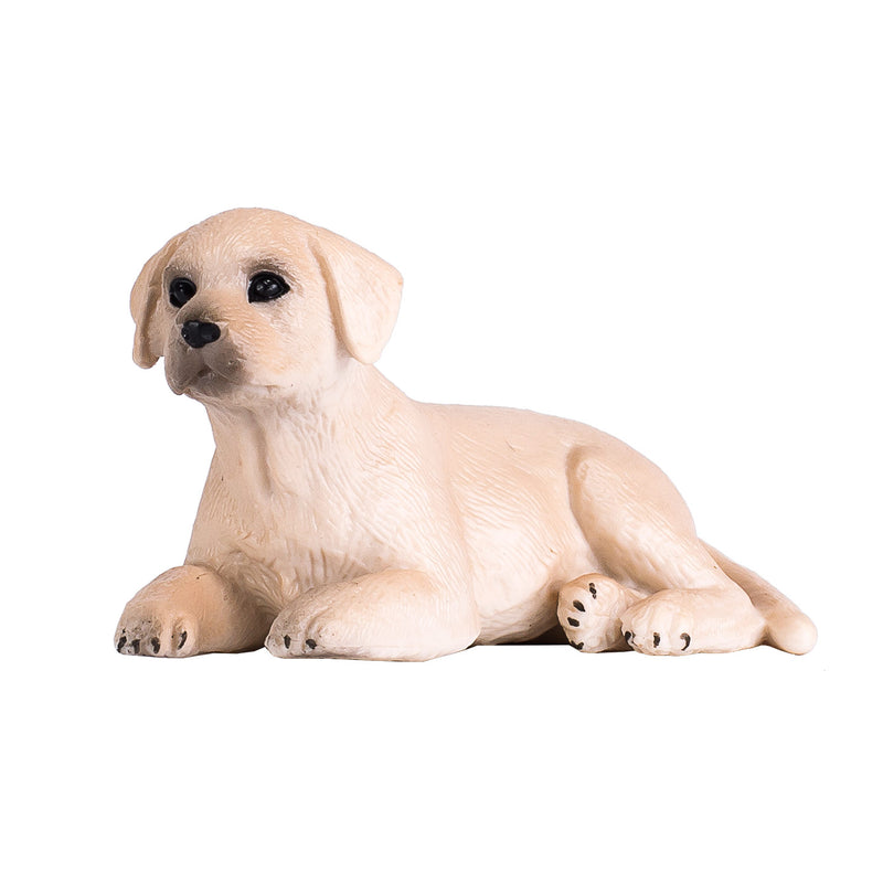 Load image into Gallery viewer, Mojo farmland labrador puppy - 387272
