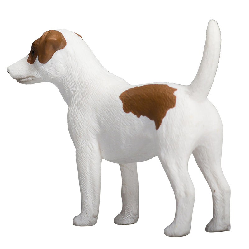 Load image into Gallery viewer, Mojo farmland jack russell terriër - 387286
