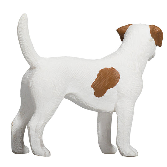 Mojo farmland jack russell terriër - 387286