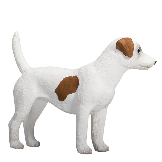 Mojo farmland jack russell terriër - 387286