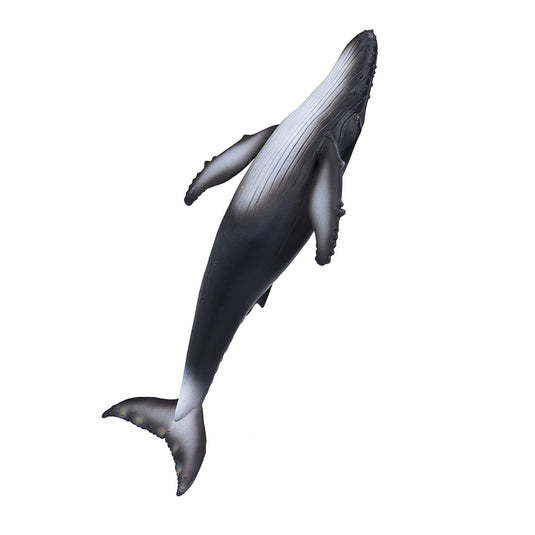 Mojo sealife bultrug - 387119