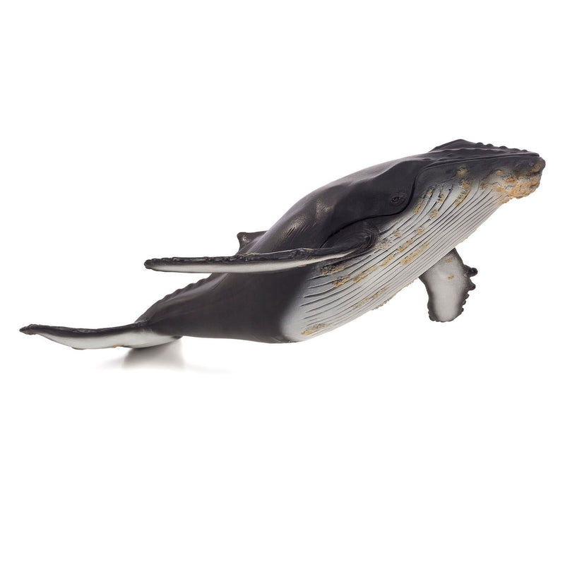 Load image into Gallery viewer, Mojo Sealife Bultrugwalvis Groot 387277
