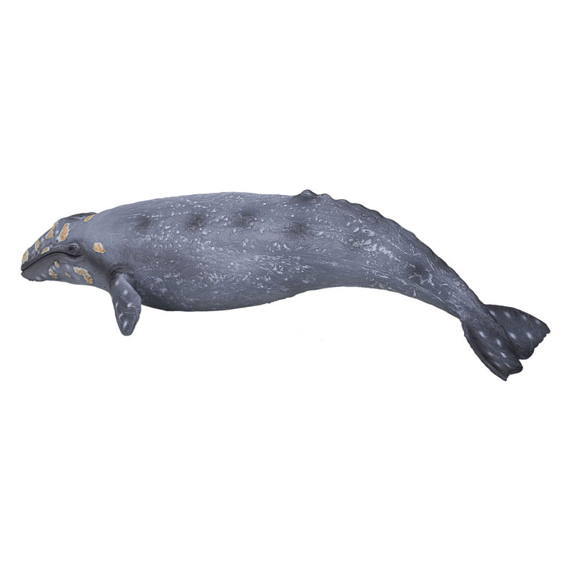 Load image into Gallery viewer, Mojo sealife - grijze walvis 387280
