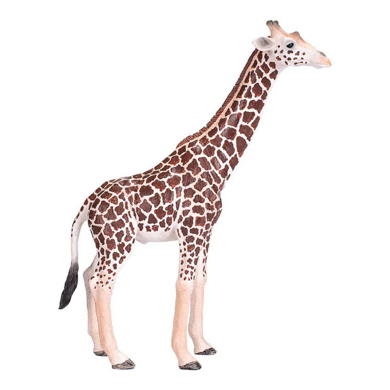 Load image into Gallery viewer, Mojo wildlife wilde dieren safari speelset, 6dlg. - 380026
