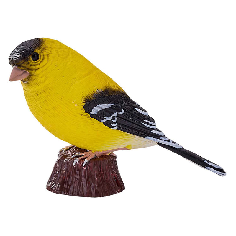 Load image into Gallery viewer, Mojo farmland amerikaanse goudvink - 381111
