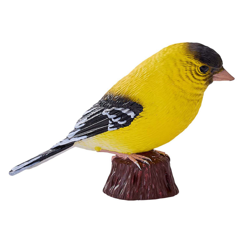 Load image into Gallery viewer, Mojo farmland amerikaanse goudvink - 381111
