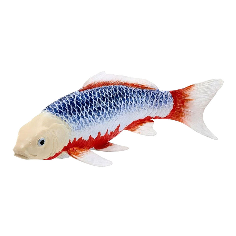 Load image into Gallery viewer, Mojo koi collection - asagi koi blauw rood 381118
