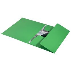 3-klepsmap leitz 39060055 groen 100 g