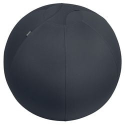 Ergonomische zitbal leitz 65420089 donkergrijs 2200 g
