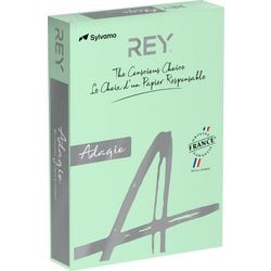 Gekleurd papier rey ryada160x418 pastelgroen 160 g m²
