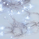Led verlichting wit, 20 lampjes