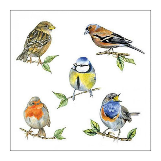 Ambiente servet 33 bird species white fsc mix